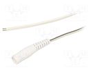 Cable; 2x0.5mm2; wires,DC 5,5/2,1 socket; straight; white; 3m WEST POL