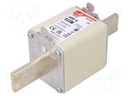 Fuse: fuse; aR; 450A; 690VAC; 550VDC; silver; NH2 DF ELECTRIC