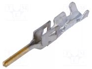 Contact; male; Micro MATE-N-LOK; 0.2÷0.5mm2; 24AWG÷20AWG; crimped TE Connectivity