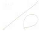 Cable tie; L: 203mm; W: 2.5mm; polyamide; 80N; natural; Ømax: 51mm PANDUIT