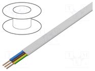 Wire; YDY; 3G1mm2; flat; solid; Cu; PVC; white; 450V,750V; 100m ELEKTROKABEL