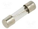 Fuse: fuse; time-lag; 10A; 250VAC; cylindrical,glass; 5x20mm; brass BEL FUSE