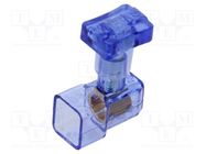 Terminal block; spring clamp; 6mm2; 450V; ways: 1; terminals: 1 BM GROUP