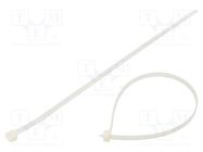 Cable tie; L: 430mm; W: 9mm; polyamide; 800N; natural; Ømax: 130.5mm BM GROUP