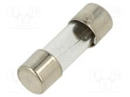 Fuse: fuse; quick blow; 10A; 250VAC; glass; 5x15mm OPTIFUSE