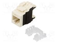 Connector: RJ45; socket; PIN: 8; Cat: 6a; Layout: 8p8c; 22AWG÷26AWG PANDUIT