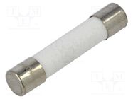 Fuse: fuse; quick blow; 6A; 250VAC; ceramic; 6.3x32mm; brass OPTIFUSE