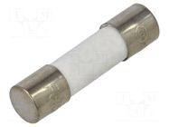 Fuse: fuse; 315mA; 250VAC; quick blow; ceramic; 5x20mm; FCD; brass OPTIFUSE
