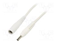 Cable; 1x1mm2; DC 3,5/1,3 plug,DC 5,5/2,1 socket; straight; 0.5m WEST POL