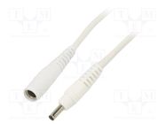Cable; 1x1mm2; DC 5,5/2,1 socket,DC 4,0/1,7 plug; straight; 0.5m WEST POL