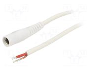 Cable; 1x1mm2; wires,DC 5,5/2,1 socket; straight; white; 0.5m WEST POL