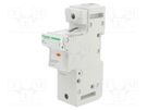 Fuse base; for DIN rail mounting; Poles: 1 SCHNEIDER ELECTRIC