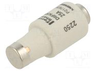 Fuse: fuse; gG; 25A; 500VAC; 500VDC; industrial; DII MERSEN