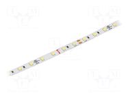 LED tape; white neutral; LED/m: 70; 8mm; IP20; 120°; 4.8W/m; 24VDC KLUŚ