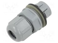 Cable gland; IP68; polyamide; dark grey; push-in; SKINTOP® LAPP