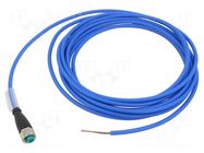 Cable: for sensors/automation; M12; PIN: 2; straight; plug; 250VAC PEPPERL+FUCHS