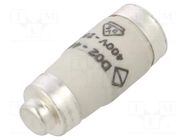 Fuse: fuse; 40A; 400VAC; 250VDC; gG,time-lag; D02 HAGER