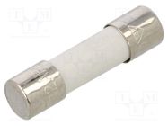 Fuse: fuse; time-lag; 12A; 250VAC; ceramic,cylindrical; 5x20mm LITTELFUSE