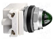 Control lamp; 30mm; 9001K; -25÷70°C; Ø30.5mm; 120VAC; green; 120VDC SCHNEIDER ELECTRIC