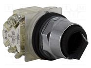 Switch: rotary; 30mm; Stabl.pos: 2; SPDT x2; black; none; IP66; 9001K SCHNEIDER ELECTRIC