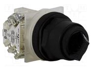 Switch: rotary; 30mm; Stabl.pos: 2; SPDT; black; none; IP66; 9001SK SCHNEIDER ELECTRIC