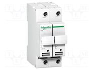 Poles: 2; 500VAC; for DIN rail mounting; 10x38mm SCHNEIDER ELECTRIC