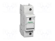 Fuse disconnector; D01; for DIN rail mounting; 63A; Poles: 1 SCHNEIDER ELECTRIC