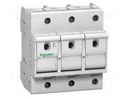 Fuse disconnector; D02; for DIN rail mounting; 63A; Poles: 3 SCHNEIDER ELECTRIC