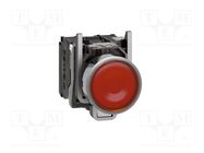 Switch: push-button; 22mm; Stabl.pos: 1; NC + NO; orange; LED; 24V SCHNEIDER ELECTRIC