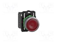 Switch: push-button; 22mm; Stabl.pos: 1; NC + NO; red; LED; 110V SCHNEIDER ELECTRIC