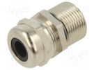 Cable gland; with long thread; PG13,5; brass ILME