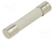 Fuse: fuse; 100mA; 660VAC; ultra rapid; ceramic,cylindrical; A12FA SCHURTER