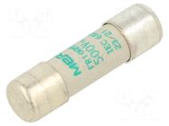 Fuse: fuse; 16A; 500VAC; aM,time-lag; 10x38mm MERSEN