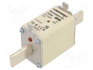 Fuse: fuse; gG; 125A; 690VAC; 400VDC; ceramic,industrial; NH1 MERSEN