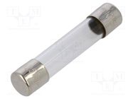 Fuse: fuse; quick blow; 250mA; 250VAC; glass; 6.3x32mm; brass; FSA 