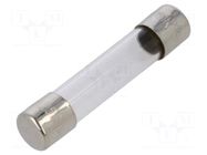 Fuse: fuse; 250mA; 250VAC; quick blow; glass; 6.3x32mm; FSA; brass OPTIFUSE