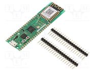 Dev.kit: WiFi; prototype board; Comp: RP2040; 75x21mm WIZNET