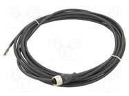 Connection lead; M12; PIN: 4; straight; 5m; plug; 250VAC; 4A; XZCP TELEMECANIQUE SENSORS