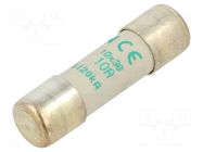 Fuse: fuse; 10A; 500VAC; aM,time-lag; 10x38mm MERSEN