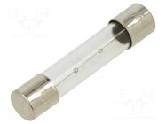 Fuse: fuse; 1.25A; 250VAC; time-lag; glass; 6.3x32mm; TSA; brass OPTIFUSE