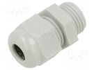 Cable gland; without nut; PG9; IP68; polyamide; light grey TE Connectivity