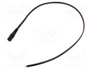 Cable; 2x0.75mm2; wires,DC 5,5/2,1 socket; straight; black; 0.5m WEST POL