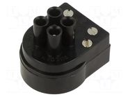 Connector: circular; plug; male; PIN: 3; 3A; 250VAC; nickel plated BULGIN