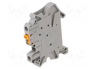 Splice terminal: rail; screw terminal; polyamide; 0.14÷6mm2 PHOENIX CONTACT