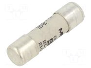 Fuse: fuse; 32A; 500VAC; 250VDC; gG; 10x38mm MERSEN