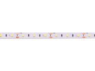 LED strip, 12V, 4.8W/m, non-waterproof, neutral white, 115lm/W, AKTO