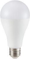 LAMP LED 17W A65 4000K E27 200'D
