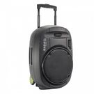 Portable Stand-Alone PA System 15" 800W (400W RMS) with 2 Wireless VHF Microphones