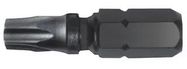 SCREWDRIVER BIT, TAMPERPROOF TX30