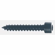 Screws (cylinder head) 5 x 30 mm